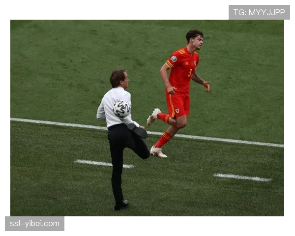 欧足联站席新规要求每平方米最多4.7人，多特蒙德南看台面临整改压力